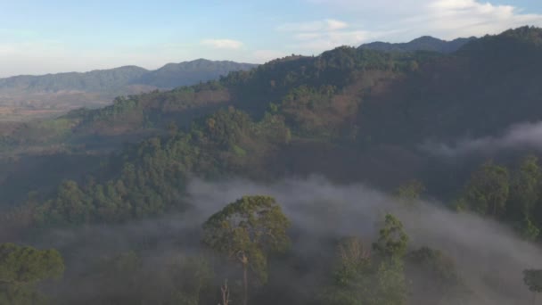Niebla Sobre Las Montañas Naturaleza — Vídeos de Stock