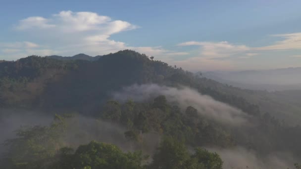 Туман Над Горами Природа — стокове відео