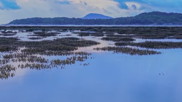 Riprese Panoramiche Una Bellissima Alba Incredibile Sfondo Natura — Video Stock