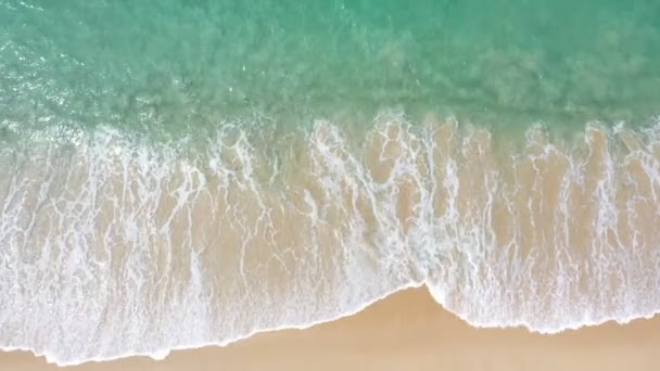 Aerial Top View Sea Waves Seamless Loop White Sand Beach — Stock video