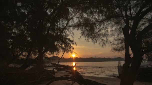 Zeitraffer Wunderschöner Sonnenaufgang Der Lücke Zwischen Den Bäumen — Stockvideo