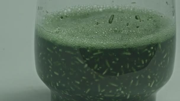 Amenez Les Champignons Trichoderma Frais Dans Récipient Ajoutez Eau Inondation — Video