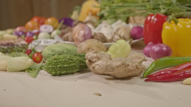 Förbereda Hälsosamma Vegetariska Matlagningsmaterial Färska Grönsaker Kryddor Och Olika Typer — Stockvideo