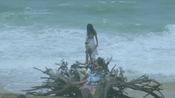 Large Pine Root Decay Mai Khao Beach High Tide Hits — Vídeo de Stock