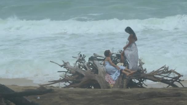 Large Pine Root Decay Mai Khao Beach High Tide Hits — Stok video