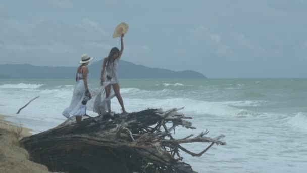 Large Pine Root Decay Mai Khao Beach High Tide Hits — стокове відео