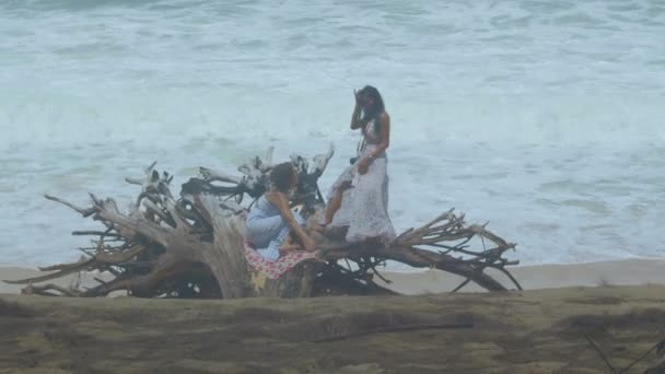 Large Pine Root Decay Mai Khao Beach High Tide Hits — стокове відео