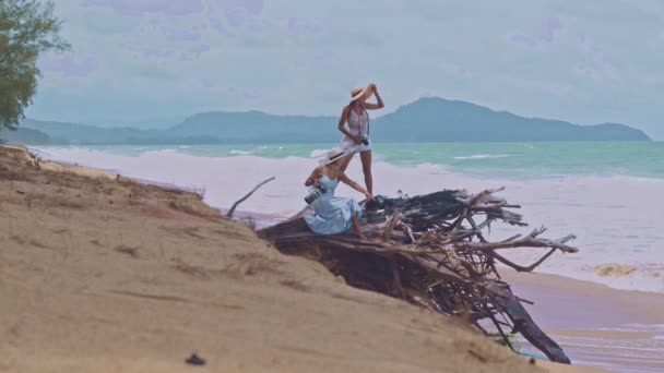 Large Pine Root Decay Mai Khao Beach High Tide Hits — 비디오