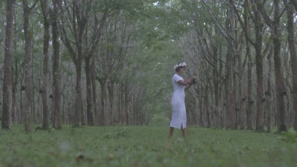 Kobieta Białej Sukience Oznacza Obraz Gumowej Plantacji — Wideo stockowe