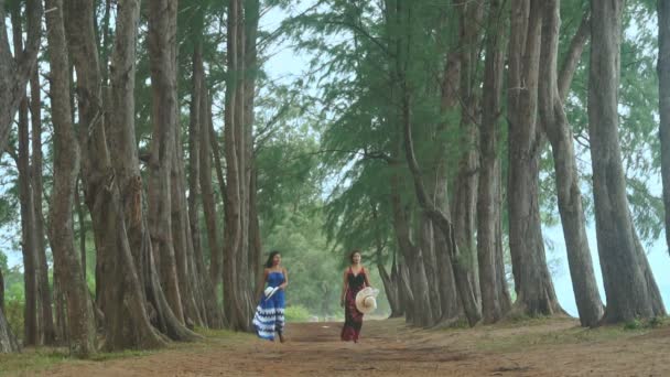两个穿着漂亮长裙的女人在树洞里走着 橡胶园的树洞 绿林背景 — 图库视频影像