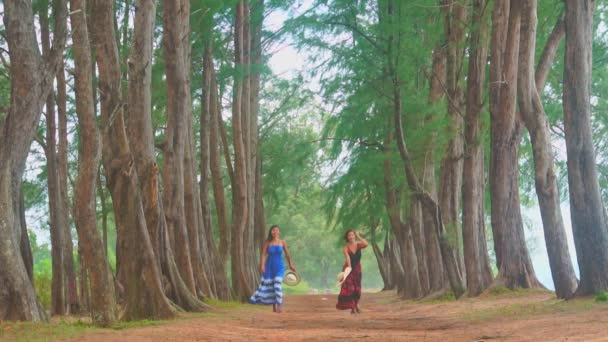 Dos Mujeres Con Hermosos Vestidos Largos Caminando Túnel Del Árbol — Vídeos de Stock