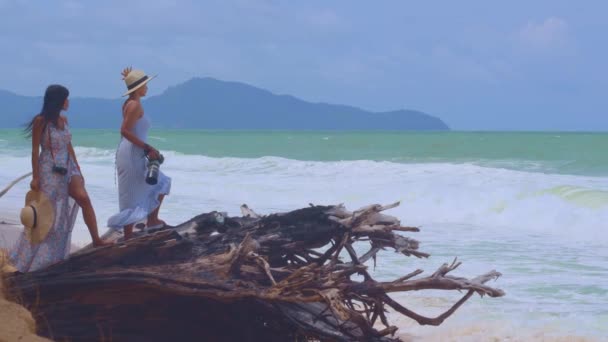 Una Gran Caries Raíz Pino Playa Mai Khao Durante Marea — Vídeos de Stock