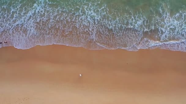 Vue Aérienne Mer Vagues Boucle Sans Couture Sur Plage Sable — Video