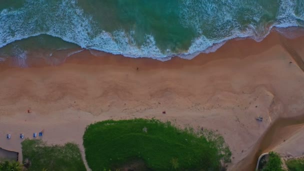 공중에서 물결은 모래사장에 순환을 해변으로 밀려왔다 풍경이었습니다 파라다이스 — 비디오