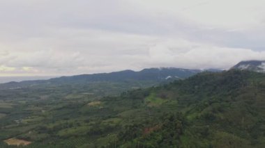 slow floating fog blowing cover on the mountain look like as a sea of mist. beautiful sunrise in the mist background.