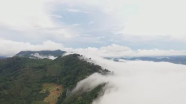 slow floating fog blowing cover on the mountain look like as a sea of mist. beautiful sunrise in the mist background.