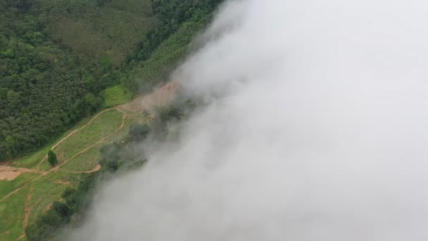 Slow Floating Fog Blowing Cover Mountain Look Sea Mist Beautiful — Stok video