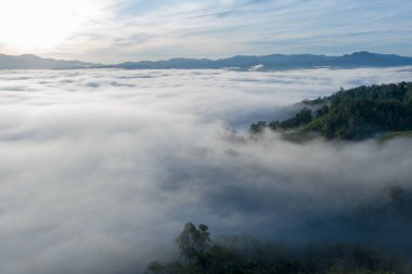 Tropikal yağmur ormanlarında, dağın tepesinde hava manzaralı gün doğumu
