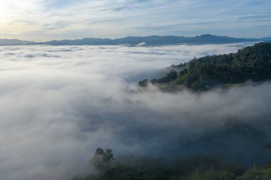 Tropikal yağmur ormanlarında, dağın tepesinde hava manzaralı gün doğumu