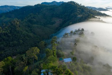 Tropikal yağmur ormanlarında, dağın tepesinde hava manzaralı gün doğumu