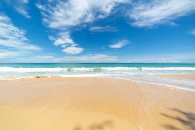 Yeşil denizden gelen pürüzsüz dalgalar beyaz uzun kumsala vurdu.