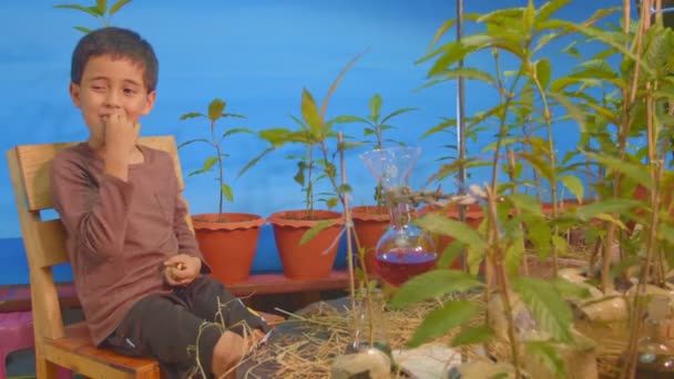 Niño Sentado Jardín Rodeado Plantas — Vídeo de stock