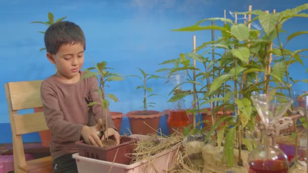 Uroczy Chłopiec Lubił Sadzić Drzewa Ogrodzie Zapisać Koncepcję Ziemi — Wideo stockowe