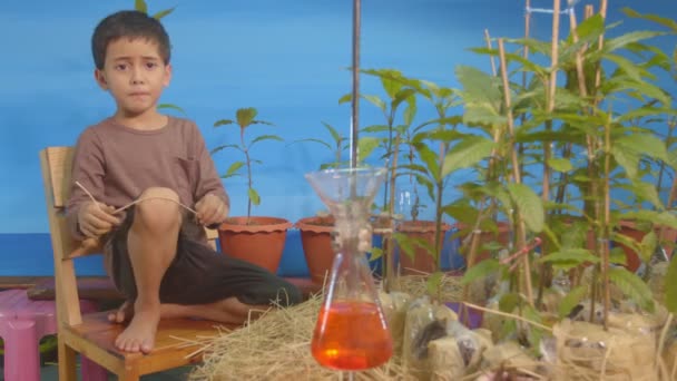 Fiú Kertben Körülvéve Növényekkel — Stock videók