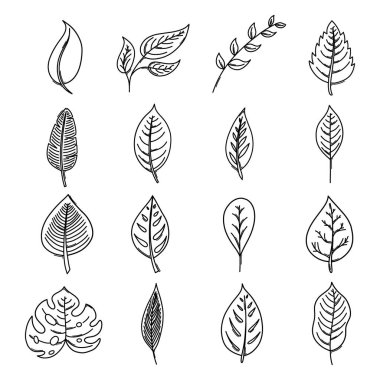 Yaprak şekilli vektör simgesi ayarlandı. Çizim çizimi el çizimi çizimi çizimi.