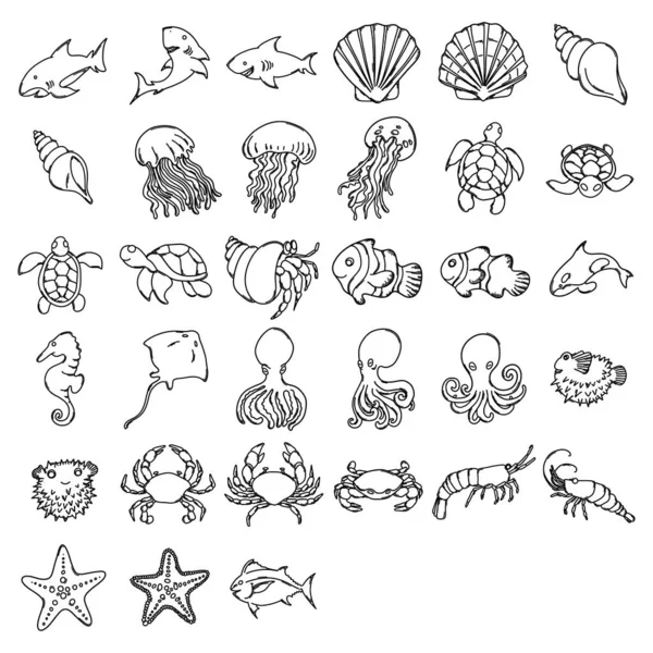 Sea Animals Doodle Vector Icon Set Малюнок Намальований Малюнком — стоковий вектор