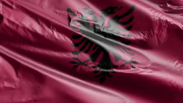 Albanien Flagge Weht Auf Der Windschleife Die Albanische Fahne Weht — Stockvideo
