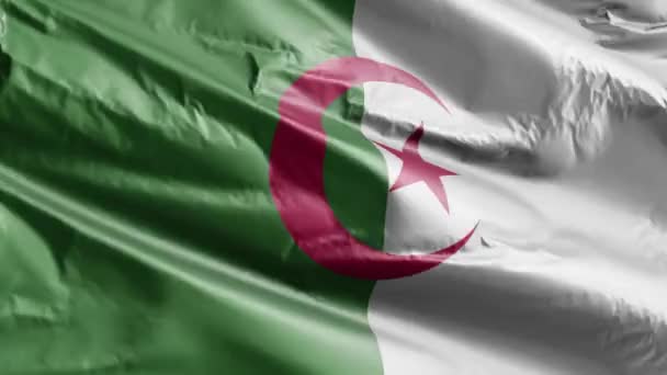 Rüzgarda Dalgalanan Cezayir Bayrağı Cezayir Bayrağı Rüzgarda Sallanıyor Tam Dolgu — Stok video