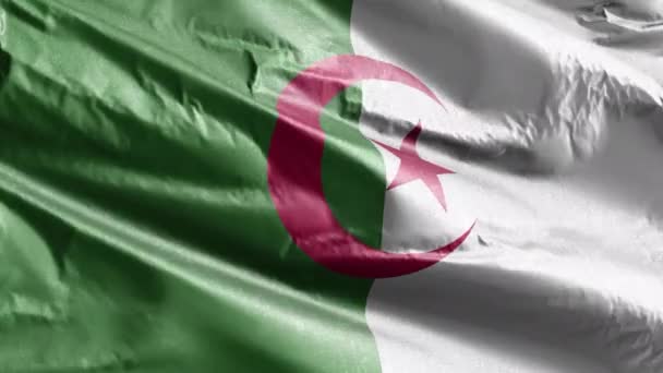 Algeriet Textila Flagga Långsam Vinka Vindslingan Algeriets Fana Svajar Smidigt — Stockvideo