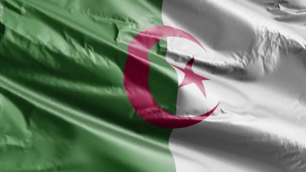 Algeriet Flagga Långsam Vinka Vindslingan Algeriets Fana Svajar Smidigt Vinden — Stockvideo