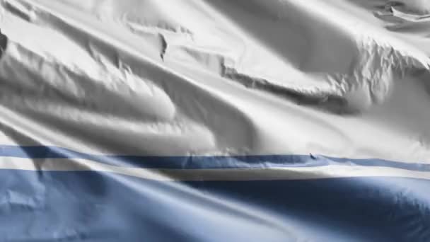 Прапор Республіки Алтай Махає Вітровою Петлею Прапор Республіки Алтай Гойдається — стокове відео