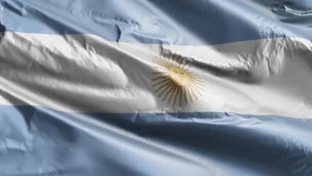 Argentina Flag Waving Wind Loop Argentinean Banner Swaying Breeze Full — Stock Video