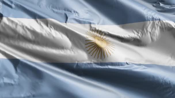 Argentina Flagga Långsam Vinka Vindslingan Argentinsk Fana Svänger Smidigt Vinden — Stockvideo