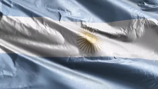 Arjantin Tekstil Bayrağı Rüzgar Döngüsünde Yavaşça Dalgalanıyor Arjantin Bayrağı Rüzgarda — Stok video