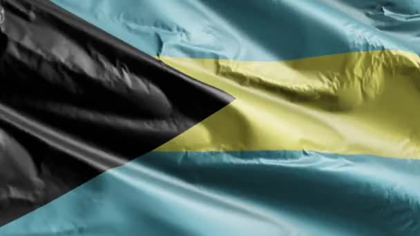 Bahamas Flagge Weht Auf Der Windschleife Bahamisches Banner Das Wind — Stockvideo