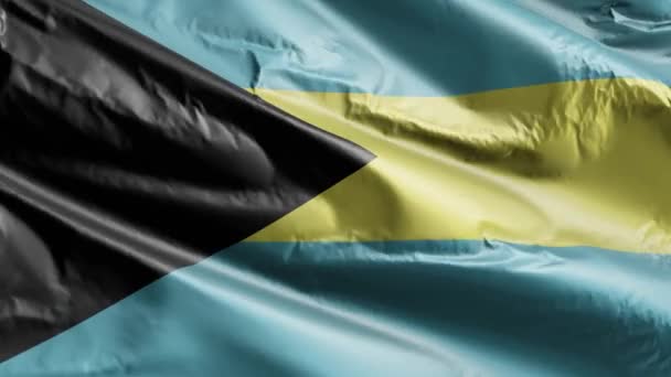 Bahamas Flagga Sakta Vinkar Vindslingan Bahamas Fana Svajar Lätt Vinden — Stockvideo