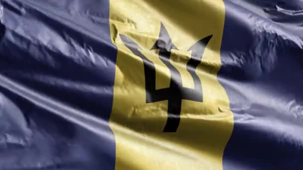 Barbados Bandeira Têxtil Acenando Loop Vento Bandeira Barbados Balançando Brisa — Vídeo de Stock