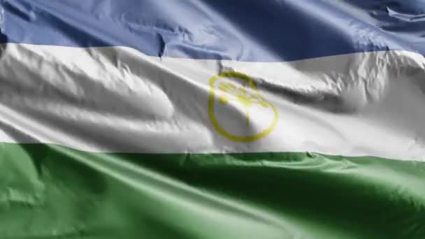 Flaga Baszkortostanu Macha Pętli Wiatru Bashkortostan Sztandar Kołyszący Się Wietrze — Wideo stockowe
