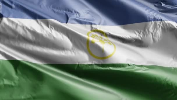 Bashkortostan Bayrağı Rüzgar Çemberinde Yavaşça Dalgalanıyor Bashkortostan Bayrağı Rüzgarda Sallanıyor — Stok video