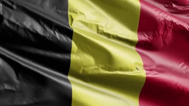 Флаг Бельгии Размахивающий Петле Ветра Бельгийское Знамя Раскачивается Ветру Полный — стоковое видео