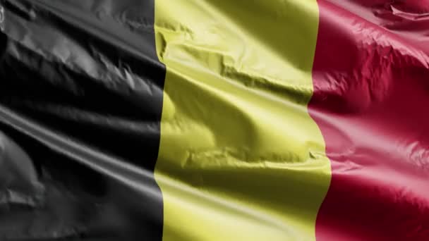 Бельгийский Флаг Медленно Машет Ветровой Петле Бельгийское Знамя Плавно Раскачивается — стоковое видео