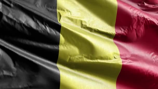 Drapeau Textile Belgique Agitant Lentement Sur Boucle Vent Bannière Belge — Video