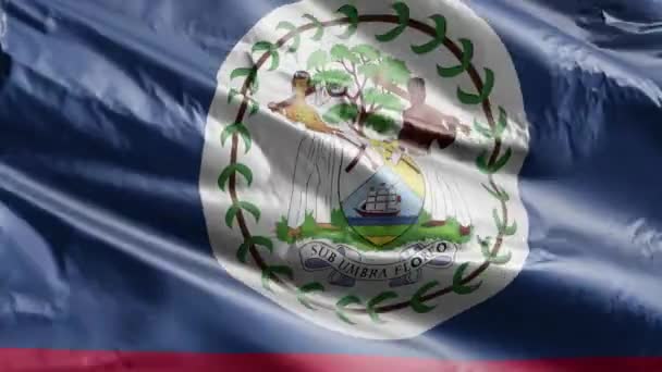Rüzgarda Dalgalanan Bayrak Belizean Bayrağı Rüzgarda Sallanıyor Tam Dolgu Arkaplanı — Stok video