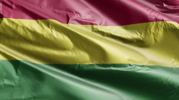 Bolivia Flag Waving Wind Loop Bolivian Banner Swaying Breeze Full — Stock Video