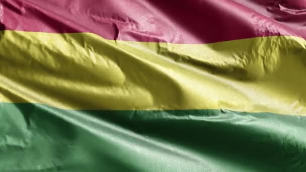 Bolivias Textilflagga Viftar Långsamt Vindslingan Boliviansk Fana Svänger Smidigt Vinden — Stockvideo