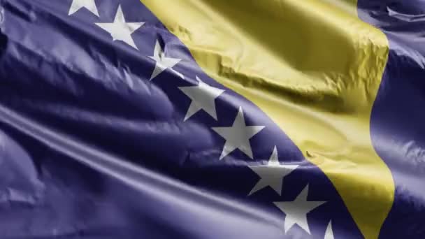 Die Flagge Von Bosnien Und Herzegowina Weht Auf Der Windschleife — Stockvideo